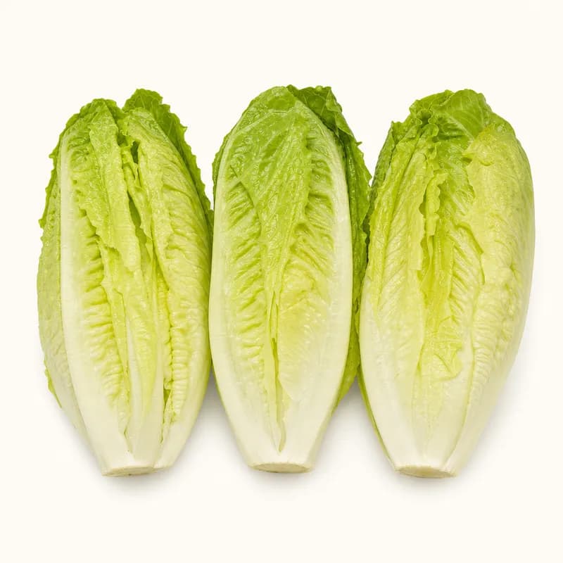 Andy Boy Romaine Hearts