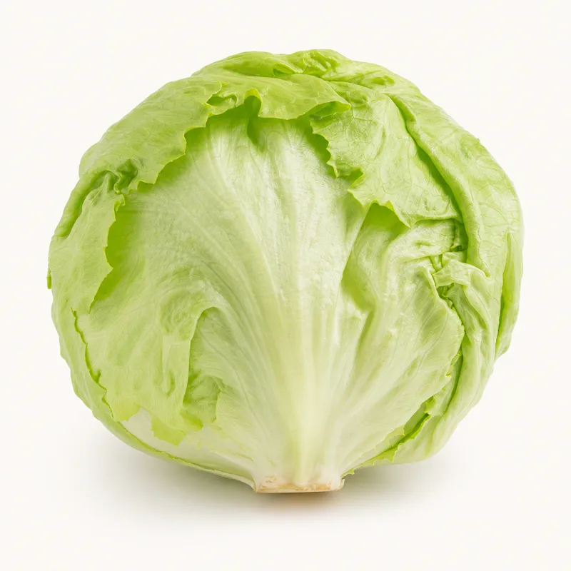 Bodek Iceberg