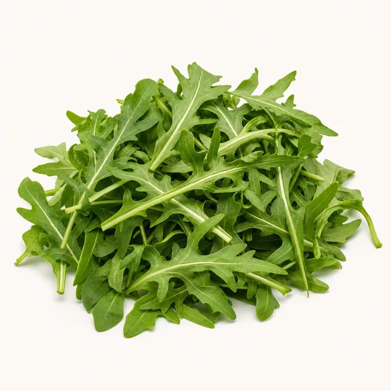 Checked Arugula