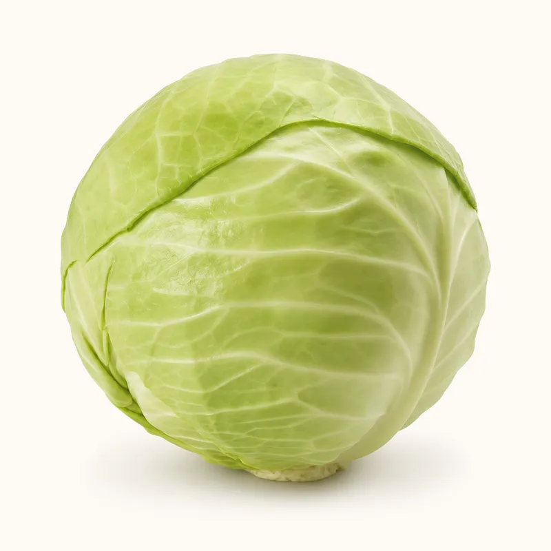 Checked Green Cabbage