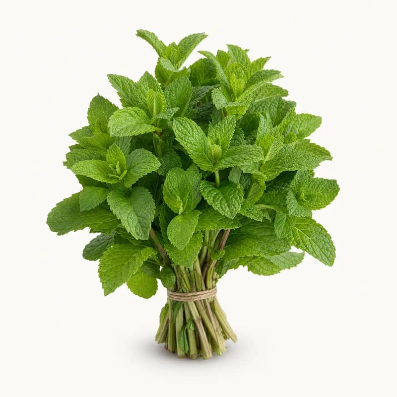Checked Mint
