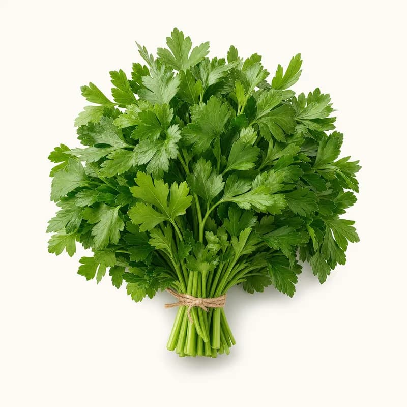 Checked Parsley