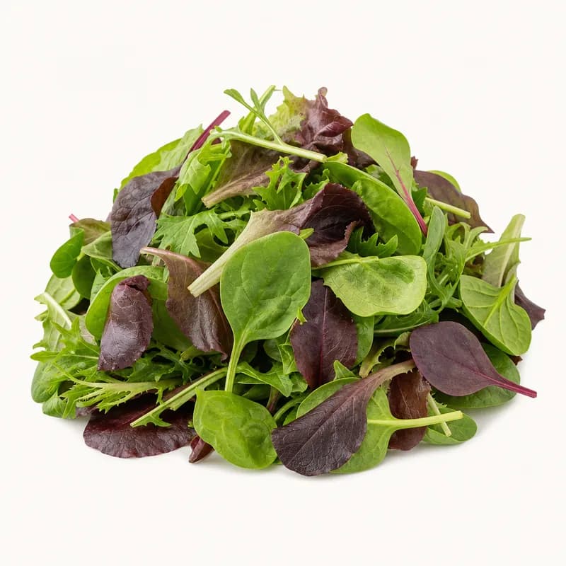 Checked Spring Mix