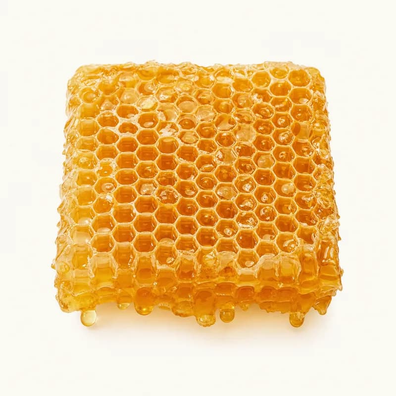 Honey Comb