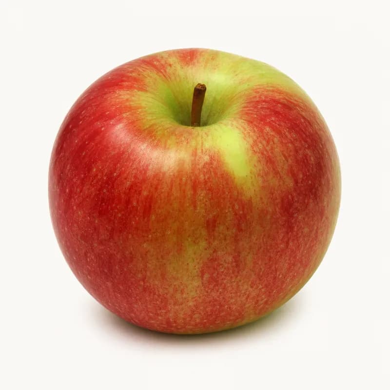 Large Mcintosh Apples