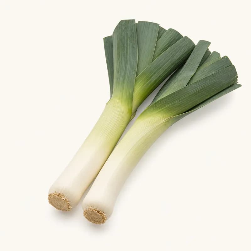 Leek