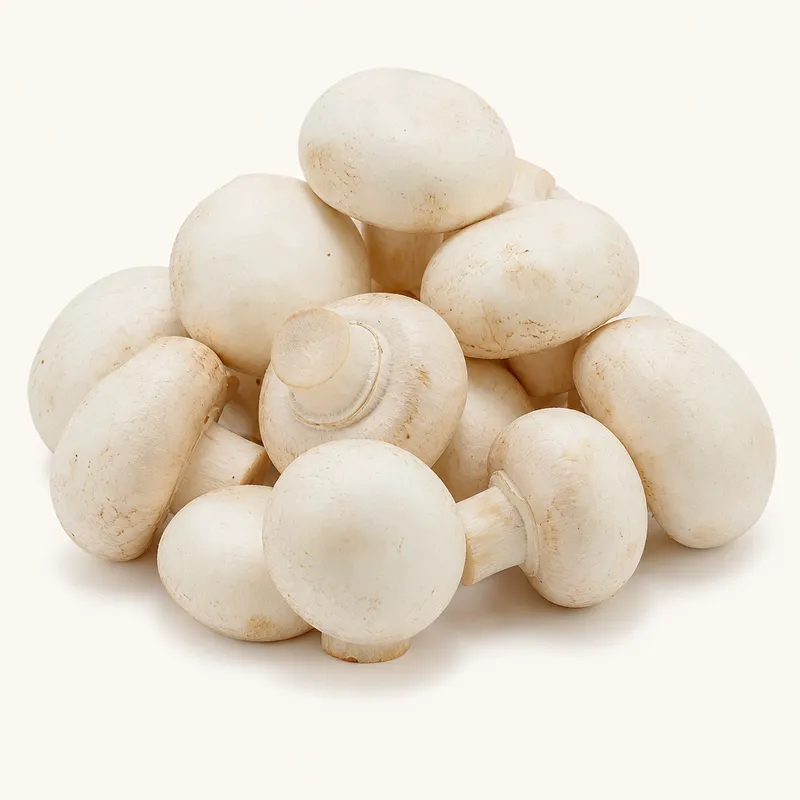 Mushroom 10 Oz Cello