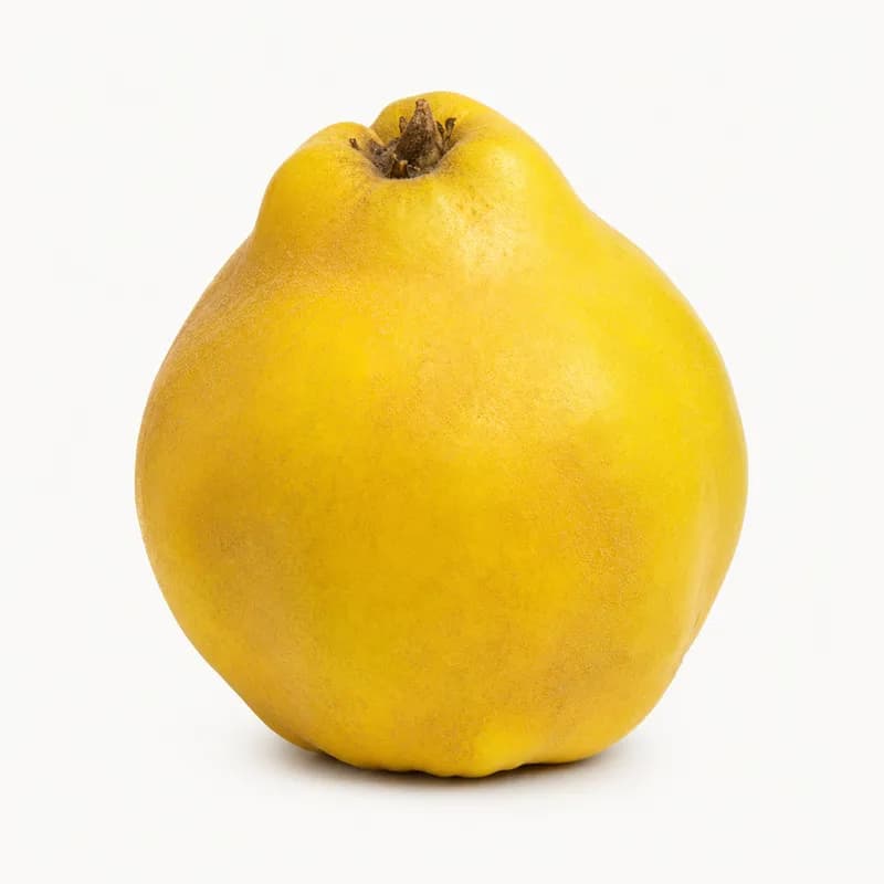 Quince Apples