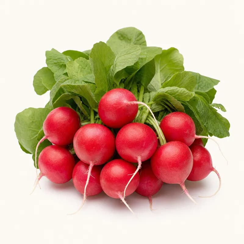 Red Bunch Radishes