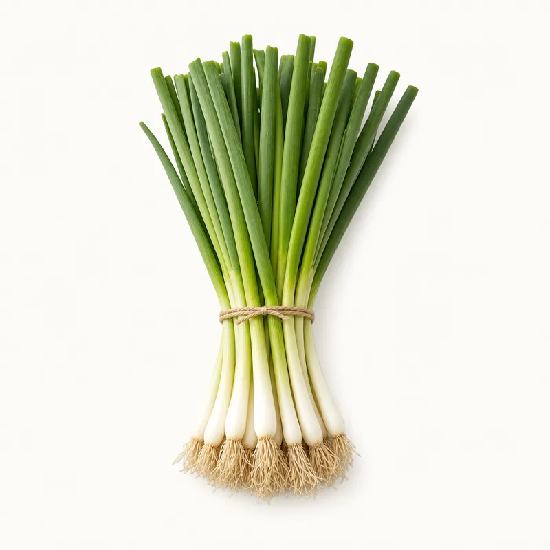 Scallion