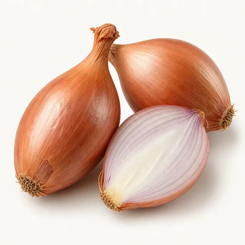 Shallot