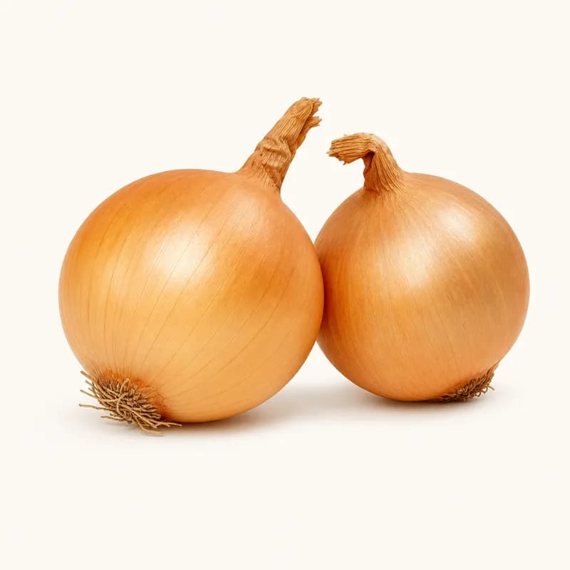 Spanish Onions