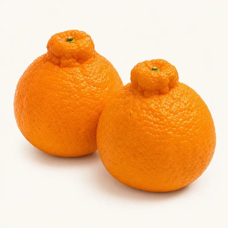 Sumo Oranges