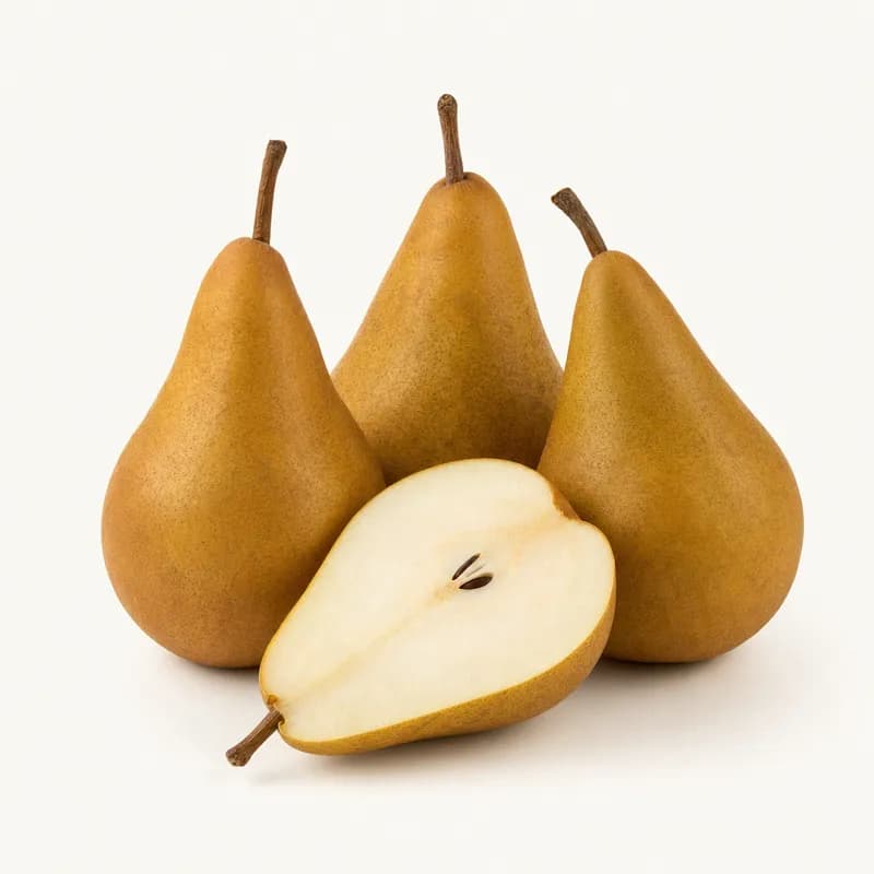 Pears Bosc