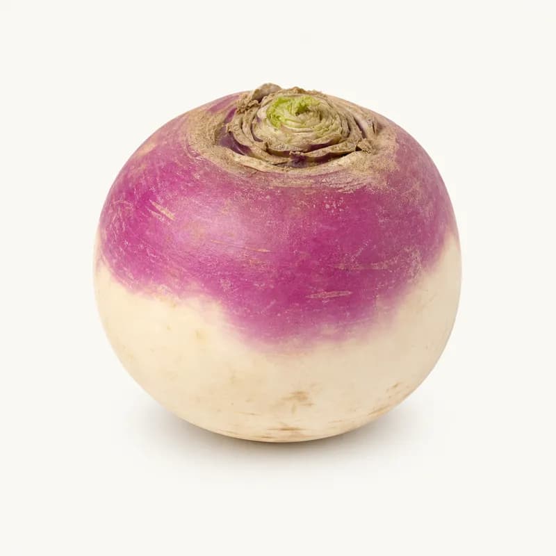 Turnip