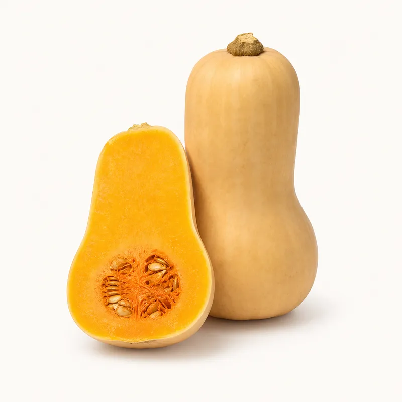 Squash Butternut