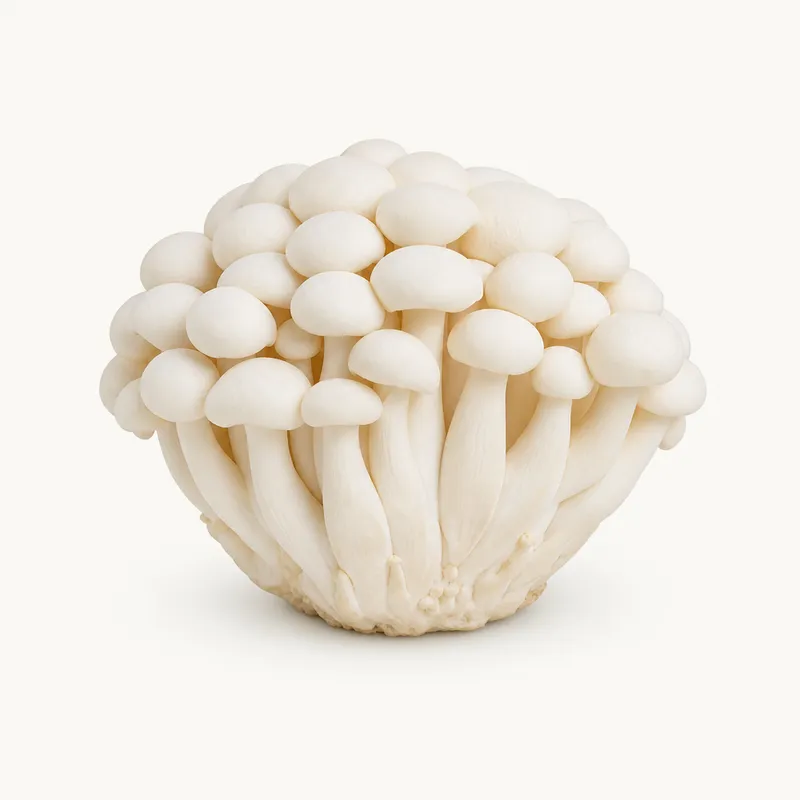 Beach Mushroom White
