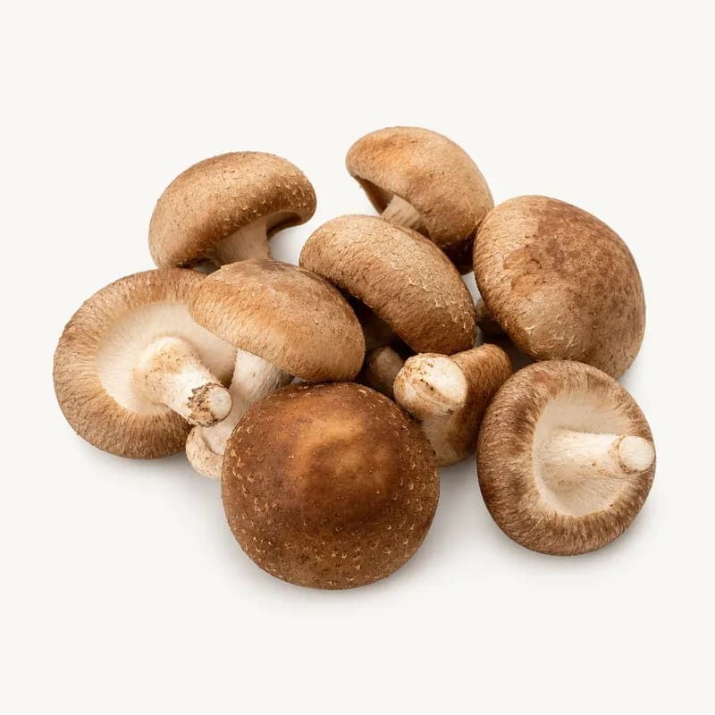 Shitaki Mushrooms