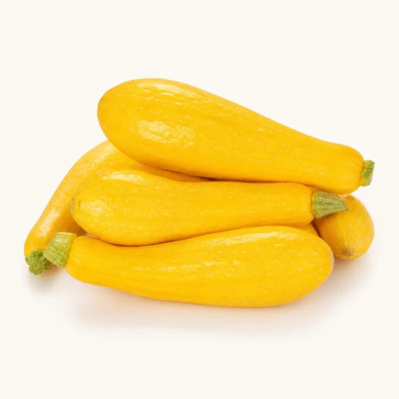 Baby Squash Yellow