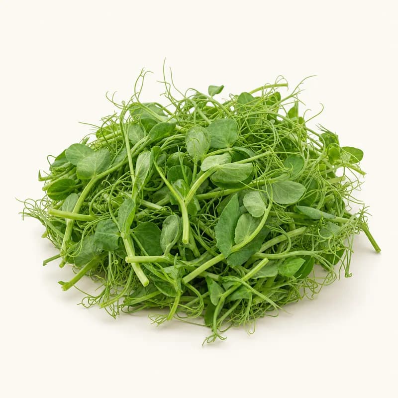 Pea Shoots