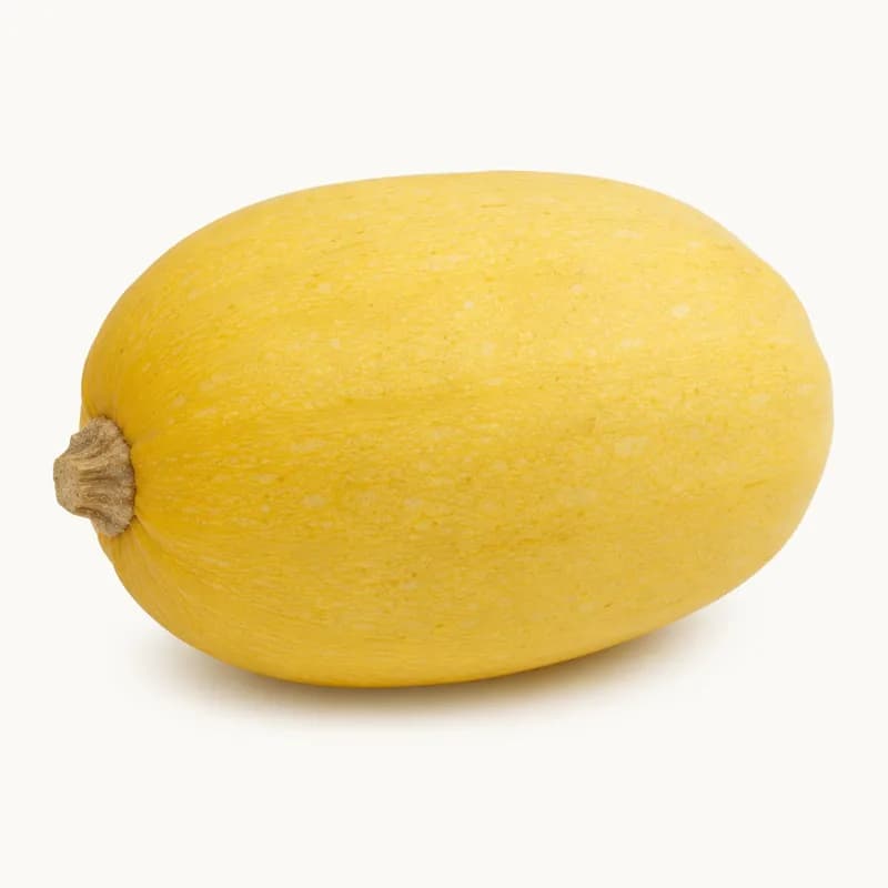 Squash Spaghetti