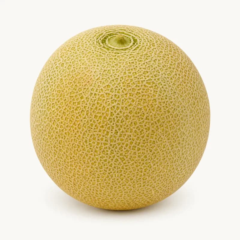 Melon Galia