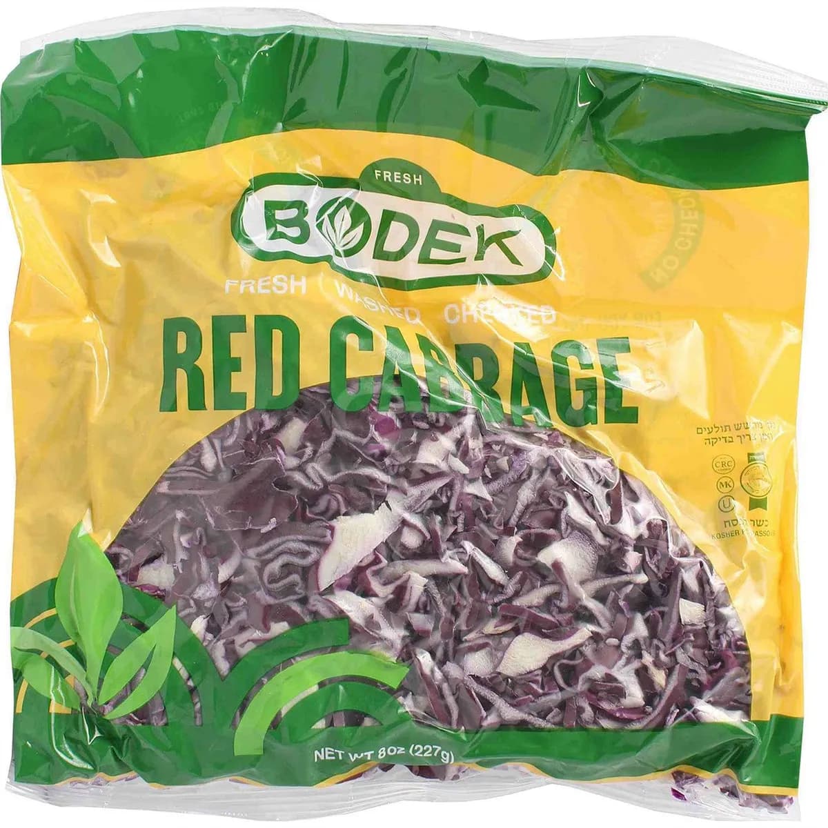 Bodek Cabbage Red