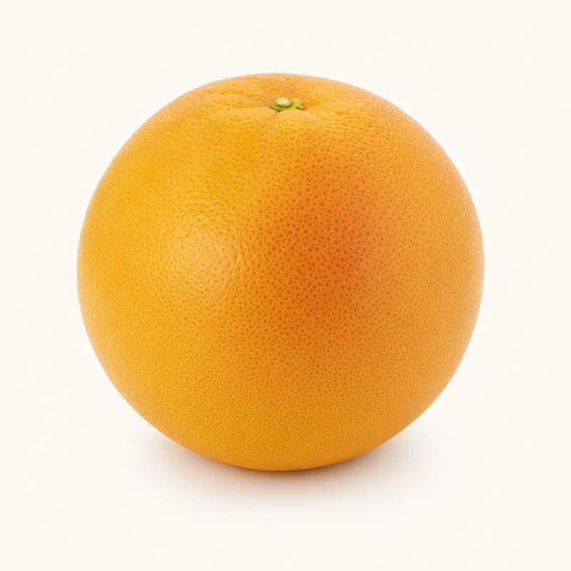 Grapefruit Large (32)