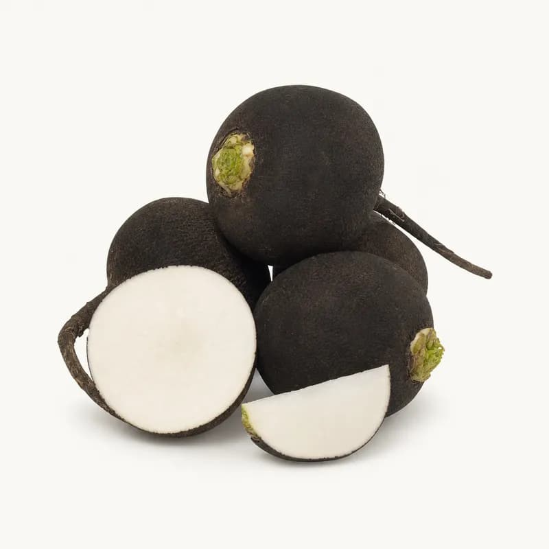 Radish Black