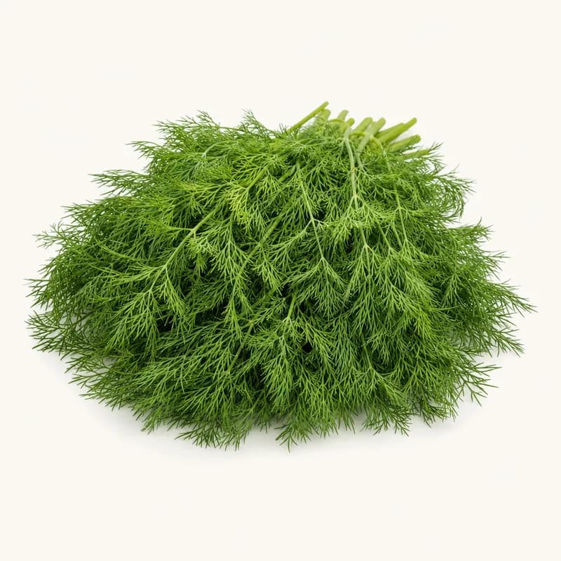 Checked Dill