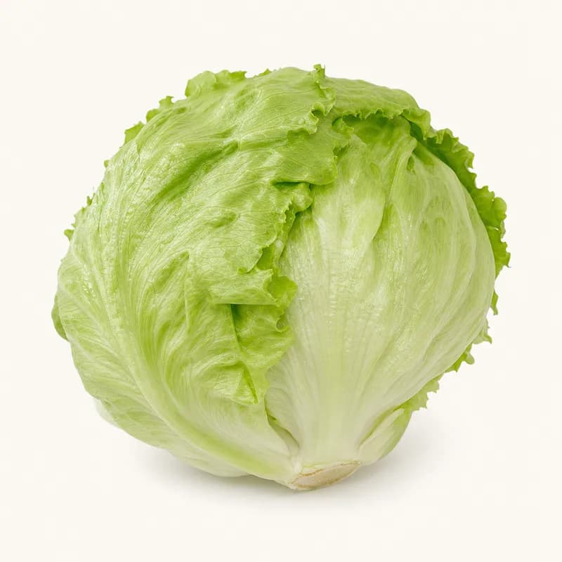 Checked Iceberg Lettuce