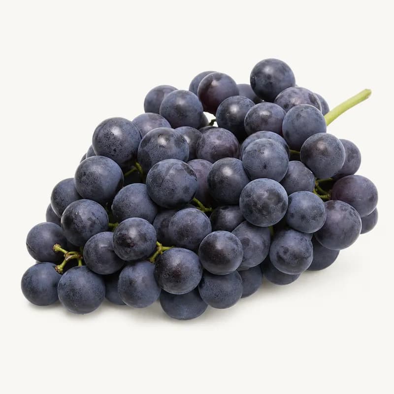 Concord Grapes