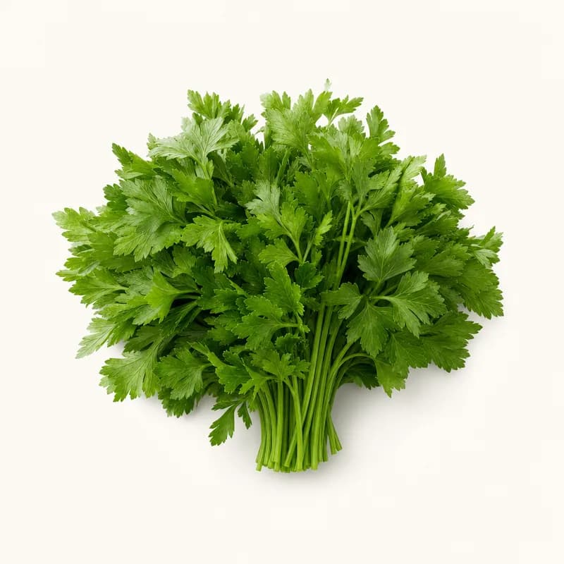 Parsley Leaves