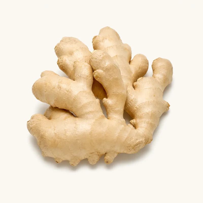 Ginger