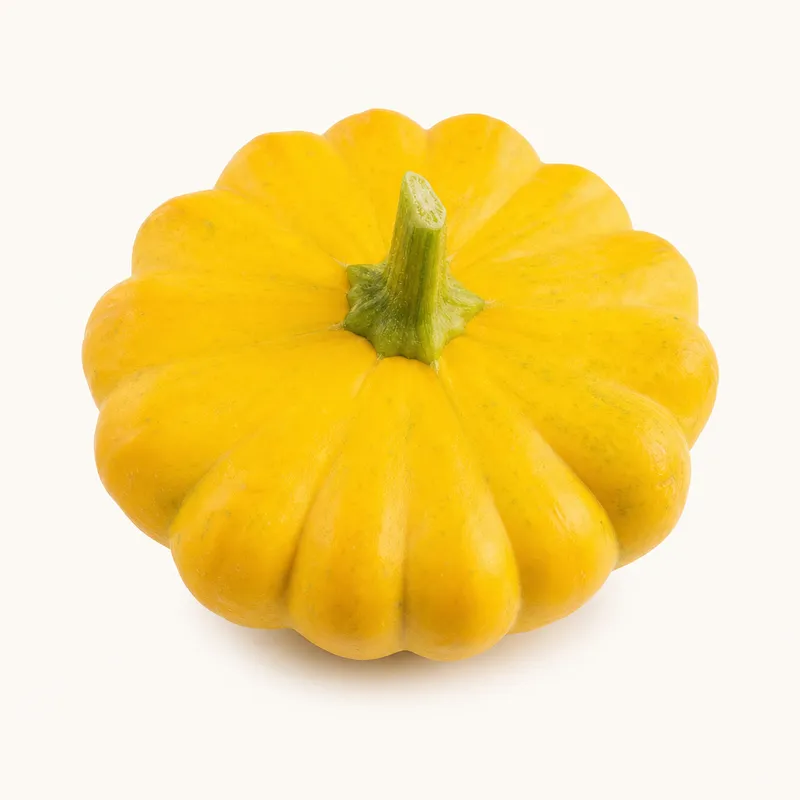 Squash Yellow
