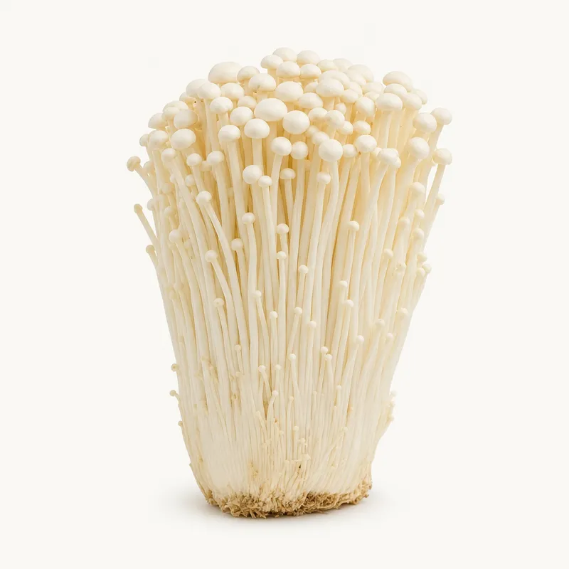 Mushroom Enoki