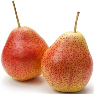 Pears Forelle