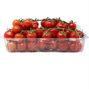 Tomato Cherry Vine Container