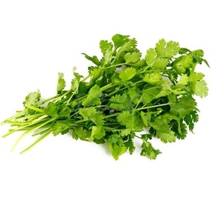 Checked Cilantro