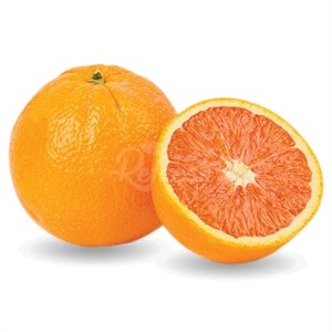 Oranges Extra Large