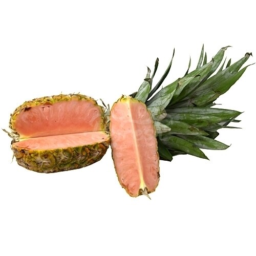 ●PINK PINEAPPLE● SWEET FRILL TSIVORY m1037_1259233 Petit Pinkglow® Pineapple — Melissas Produce