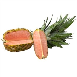 Pineapple Pink