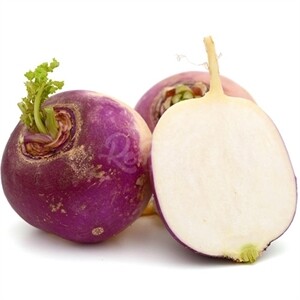Turnip