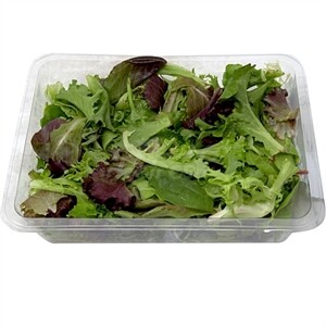 Checked Spring Mix