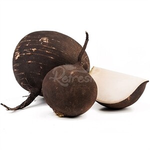 Radish Black