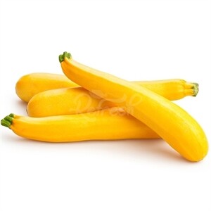 Squash Yellow
