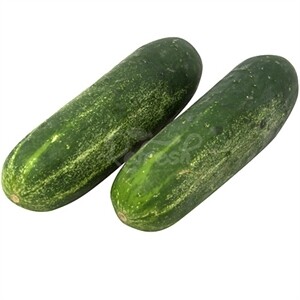 Kirby Cucumber