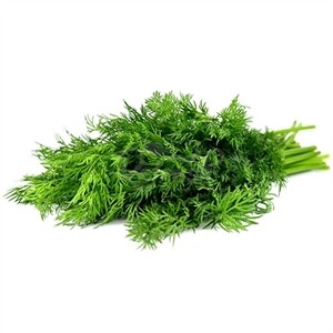 Checked Dill