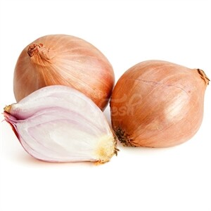 Shallot