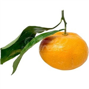 Mandarines Sweet